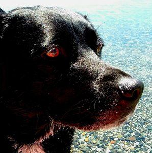 Meet your Posher, Belinda